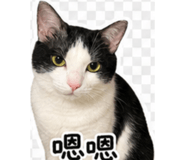 845995960