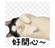 845995964