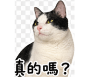 845995967