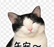 845995974