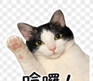 845995976