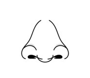 845999123