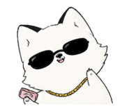 845999162
