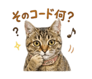 845999815