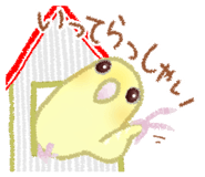 845999883
