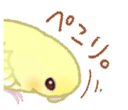 845999894
