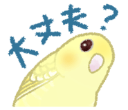 845999897