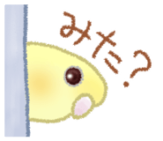 845999902