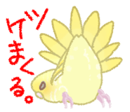845999908