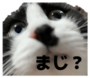 846000886