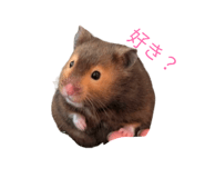 846000940