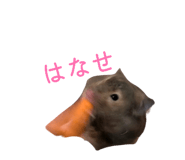 846000944