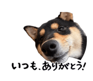 846001010