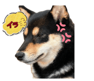 846001013