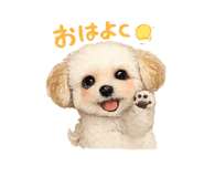 846001281