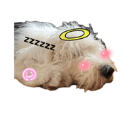 846001484
