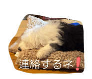 846001492