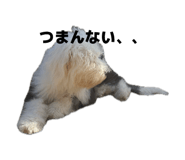 846001493