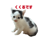 846001777