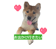 846001781