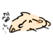 846002037
