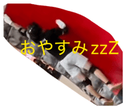 846002204
