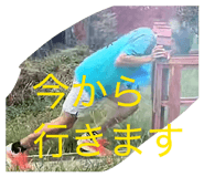 846002205