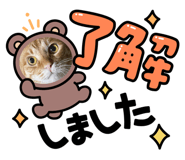 846002323