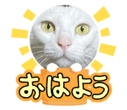 846002329