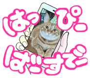 846002343
