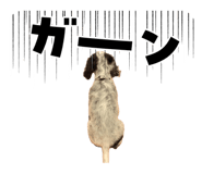 846002350