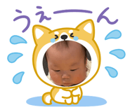 846002493