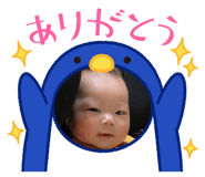 846002494