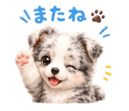 846002918