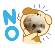 846003057