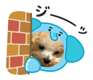 846003059