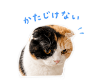846003547