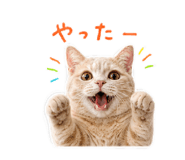846003550