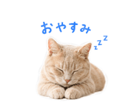 846003554