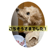 846004382