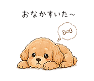 846005502