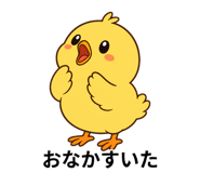 846005955