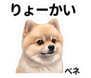846006508