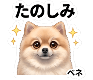 846006518