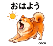 846006625