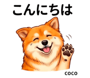 846006626