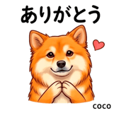 846006627