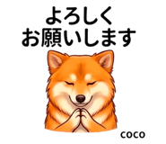 846006629