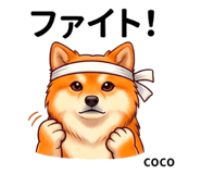 846006640