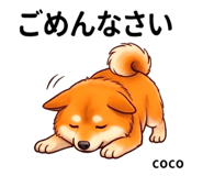 846006646